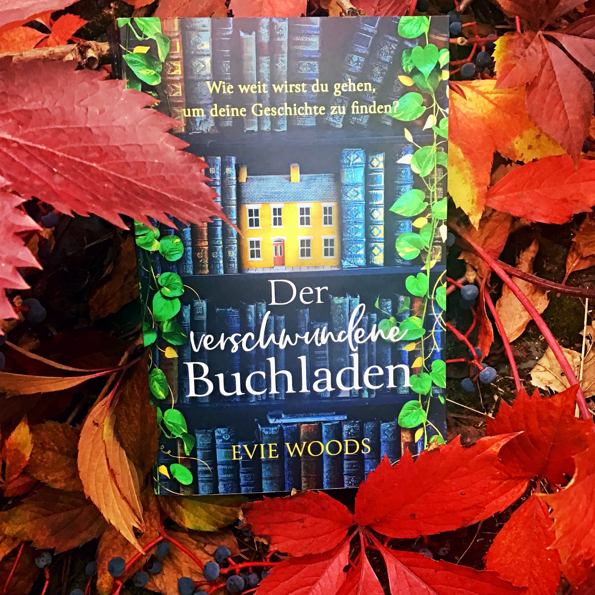 Rezension Der verschwundene Buchladen Addicted2BooksBlog